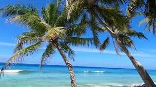 Addu City Hithadhoo|Nature park 3