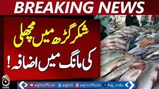 Shakargarh sees rise in fish demand as citizens complain about prices - Pakistan news