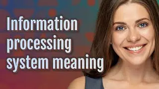 Information processing system | meaning of Information processing system