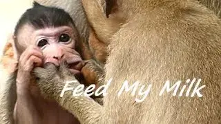 Janet Angry Janna Feeding Milk | Janet Drag Mouth Janna | Baby Janna Screaming | Monkey Crying