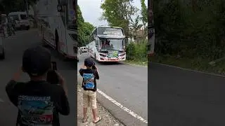 BASURI BUS SULTAN SELATAN #teloletbasuri #busmania