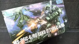 Unboxing HG 1/144 Zaku II Type C-6/R6 by DuiJui
