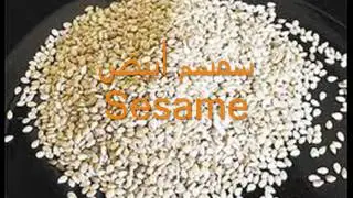organic herbs for import & export