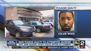 Man pleads guilty to attempted murder of AACo police officer