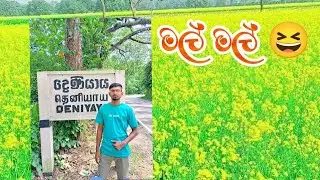 SL Kushan Vlogs පෙර සසරින් ආ දේවල් ආලවන්තකම් #live #trending #9m