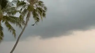Dhaalu Atoll, Maldives - Riu Atoll Resort - Bats (2022)