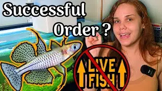 Rare Freshwater Fish Unboxing | Honest Review of Online Fish Store