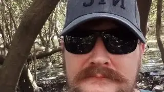 A.P.S Livestream