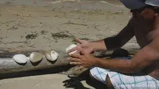 Flanners Beach~New Bern, NC ~ Kayaking, shell hunt