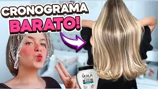 CRONOGRAMA CAPILAR (Simples e Fácil) - Produtos BARATOS!