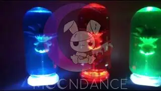 Capsula goku