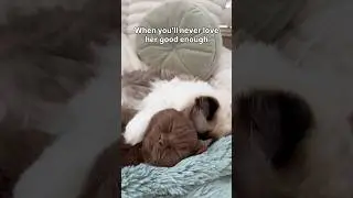 If it ain&rsquo;t love like this I don&rsquo;t want it