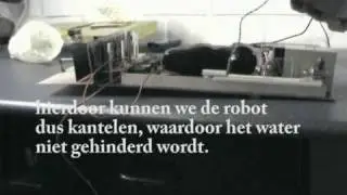 CWDS in de RoofWatcher