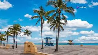 Move to Hollywood, Florida