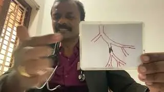 Best diabetes diet doctor near me 