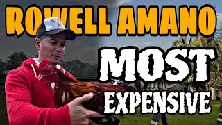 MOST EXPENSIVE