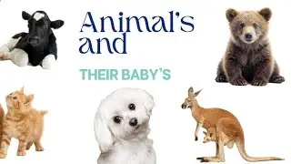 Animal's and their baby'sII Names of animals and their young ones