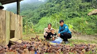 Single mother Tieu Ca's inspiring journey to expand her chicken farm to improve her life