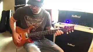 1996 PRS McCarty (McCarty Burst)