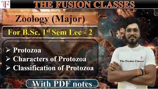 Protozoa | Characters and Classification of Protozoa | BSc Sem - 1 | With pdf notes