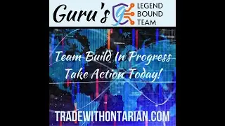 Tradera Forex Honest Cold Hard Truth Review- Copy and Paste Trades With Tradera Forex Results