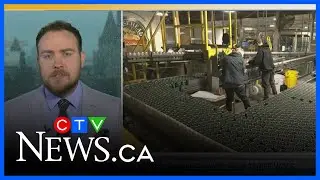 Removing interprovincial trade barriers won't help tariff woes: report