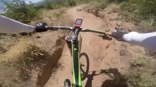 Snake Trails - Boomslang