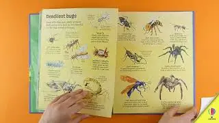 Big Book of Big Bugs