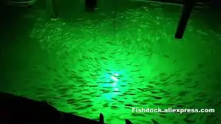100W 150W DC 12V Lula Verde Branca IP68 Isca Atrativa para Peixes de A