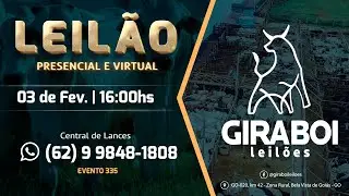 Leilão Gado de Corte - Giraboi Leilões 03/02/2026 Bela Vista de Goiás