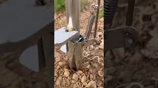 Practical farming tools for planting corn #farming #agriculture #shorts