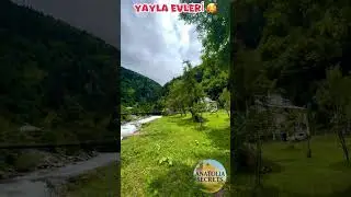 Karadeniz Yayla Evleri &mdash; Sisler İ&ccedil;indeki Ahşap Cennetler (Highland Houses Turkey) 🏡🌲 #HighlandHouses