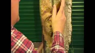 Вырезание женского лица