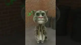 Talking Tom - (Old Version from 2010-2016) (All Animations) (Longer Version) [REUPLOAD]