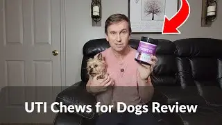 Testing Dog UTI Cranberry Chews | Urinary Tract, Bladder & Kidney Support Review