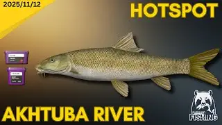 Short Headed Barbel And Carp Spot - Russian Fishing 4