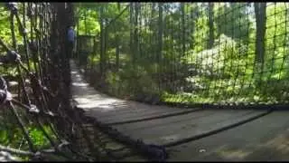 Lynches River County Park