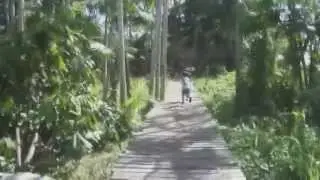 MEAP Base no Arquip&eacute;lago de Bailique - Amap&aacute;