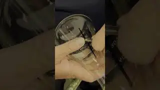 Baffle Flask Fabrication &ndash; ASMR | Precision Glasswork