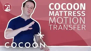 Cocoon Mattress Review - Motion Transfer