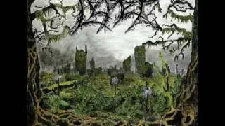 Leper-Wild and Free
