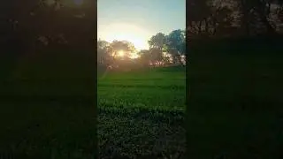 farming culture