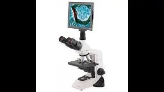 USO MICROSCOPIO LABOMED Lx300