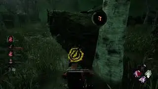 PROJECT* DBD getting old and not fun anymore