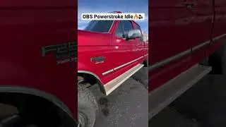 OBS 7.3L Powerstroke idle sounds too good❤️🔊 #shorts #idle #obs #diesel #4x4 #90s