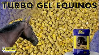 TURBO GEL - M&Aacute;XIMA ENERGIA