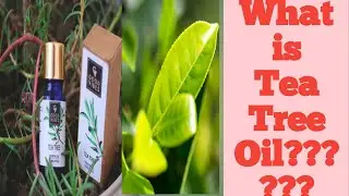 How to use Tea Tree Oil l Good vibes!  Uses, Effects, Doubts