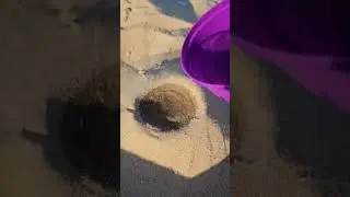 Summer ideas | Beach sand Bowl