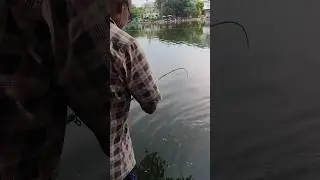 very 😱 old man catching big fish #fishing #shorts #fzshortsfish #fish