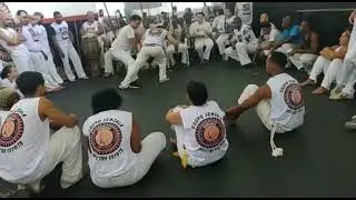 Jackie Chan senzala e Mestre coyote senzala ,jogo perigoso...